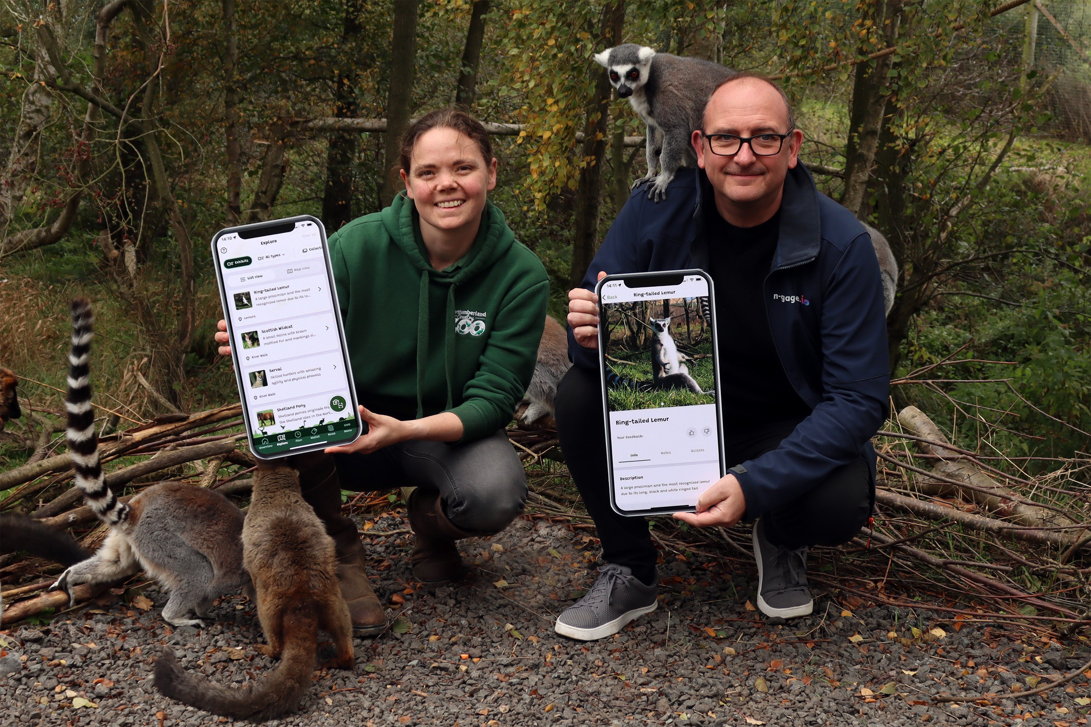 n-gage.io founder Bryan Hoare at Northumberland Zoo with Lemurs
