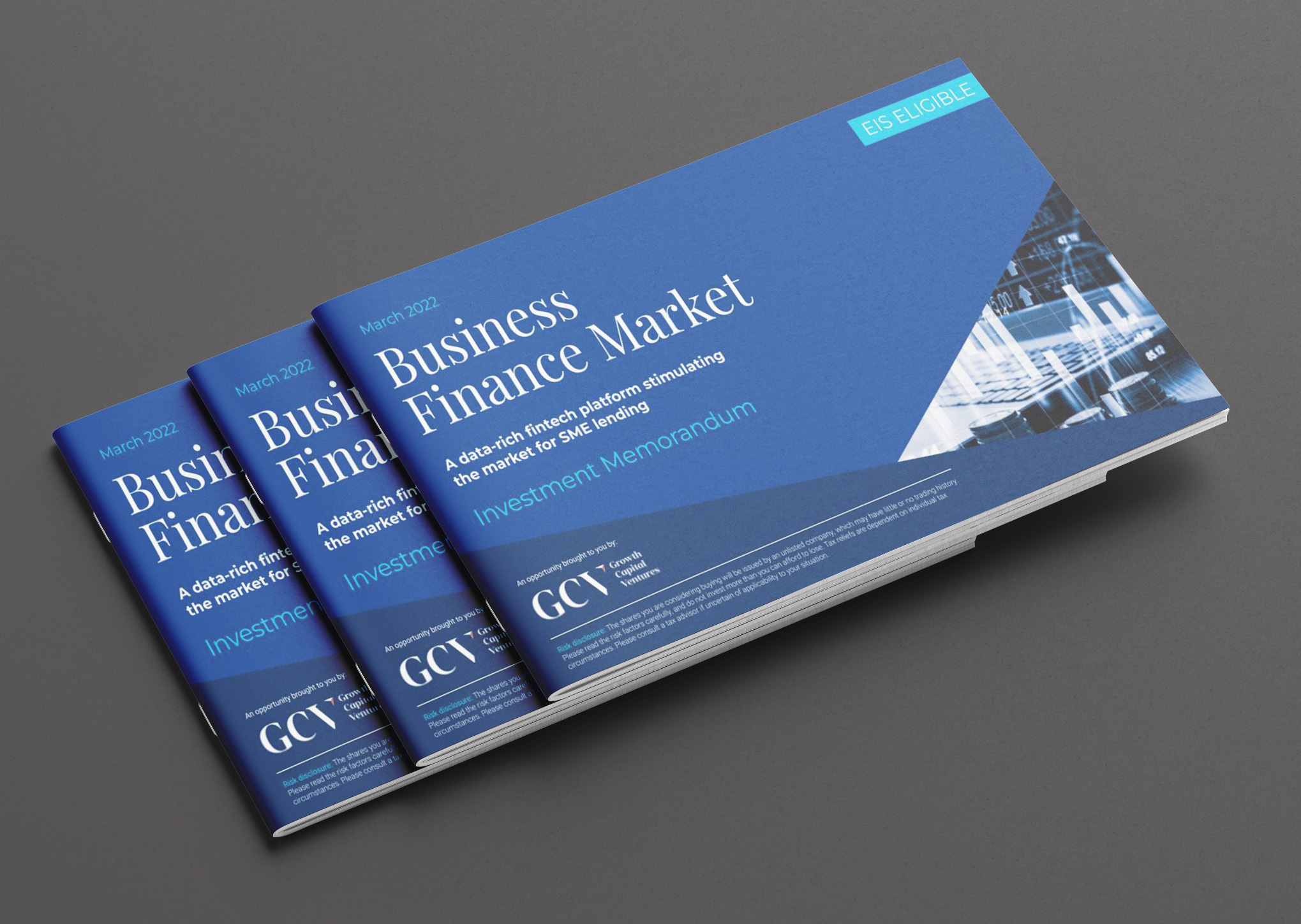 Business Finance Market - Investment Memorandum Cover Image