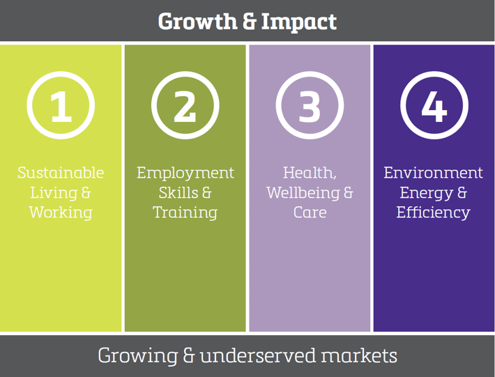 investing for growth and impact graphic.png