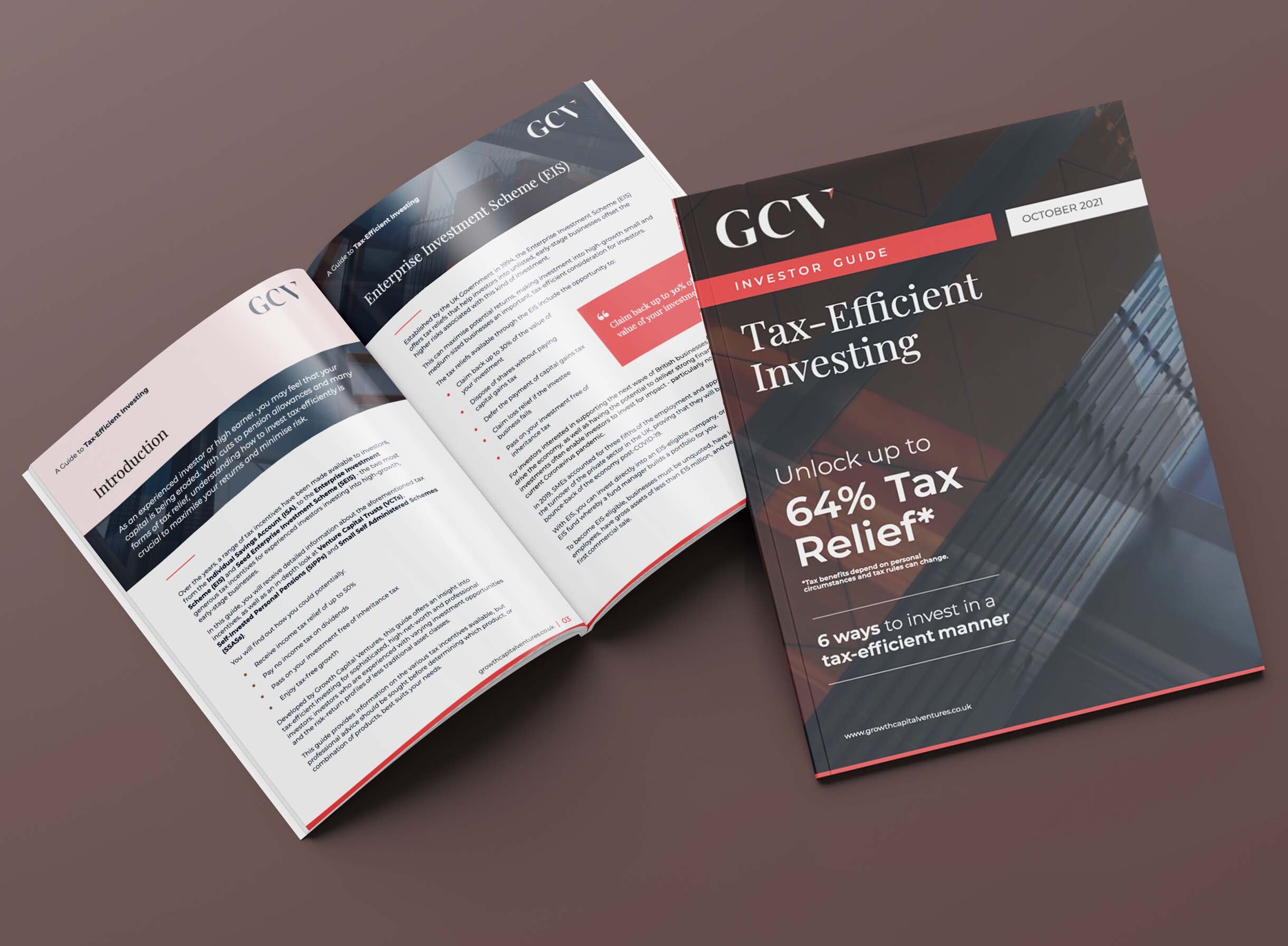 Tax efficient investing guide 