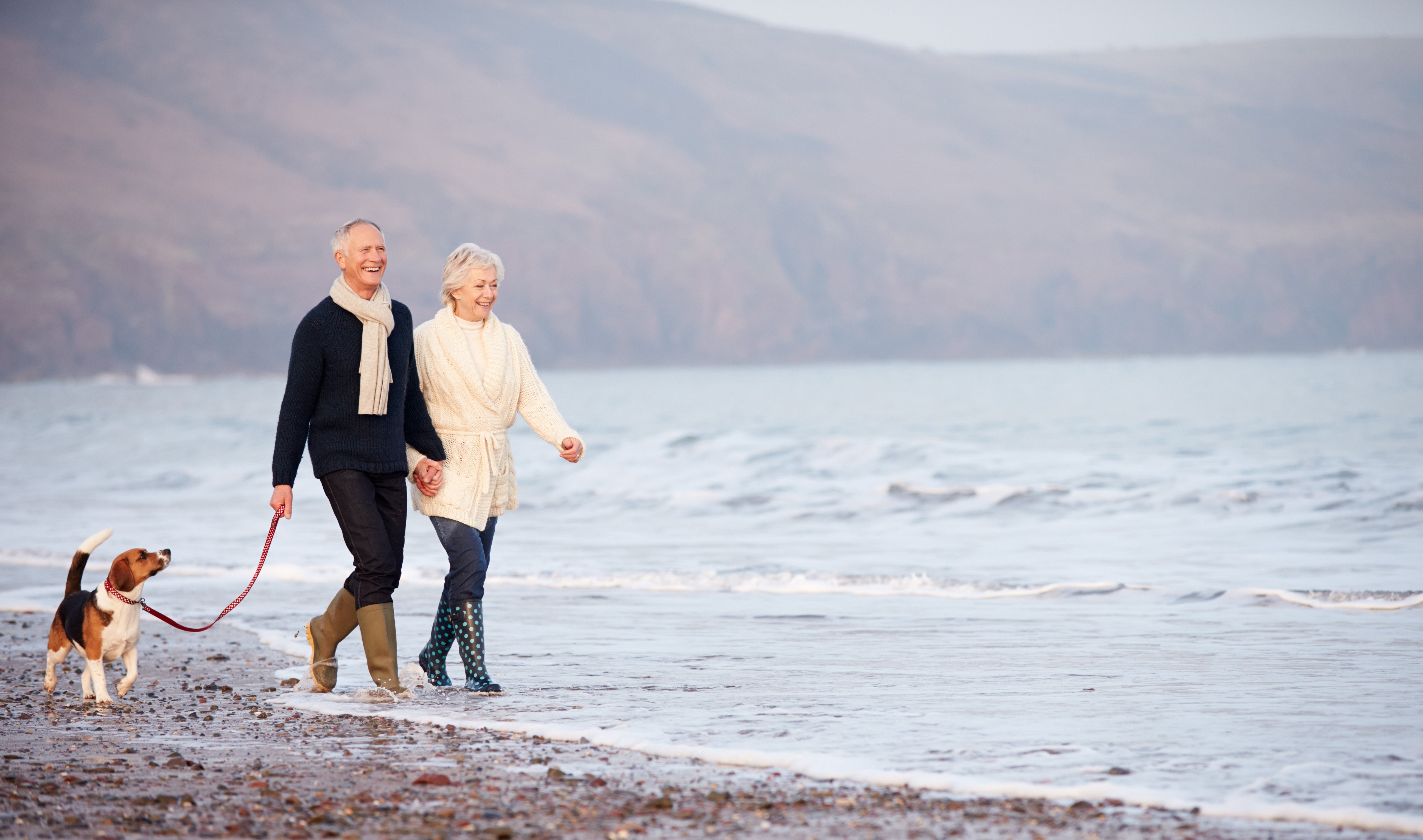 couple walking along beach with dog